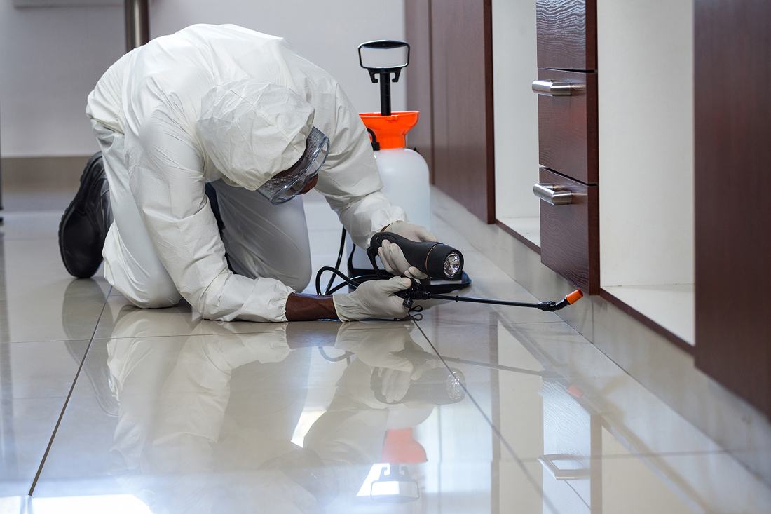 Residential pest control services stanford